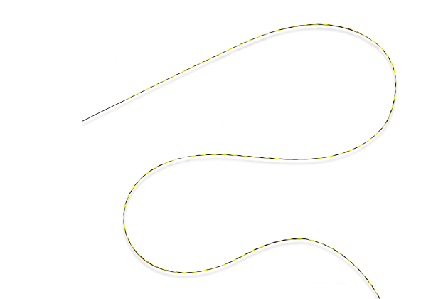 Disposable Zebra Guidewire for Digestive Tract